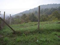 A plot of land near Lovech in Bulgaria.  Ref. No 005